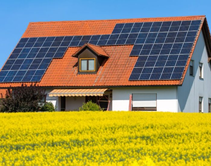 modern-house-with-photovoltaic-system-2021-08-30-02-13-19-utc (1) (1)